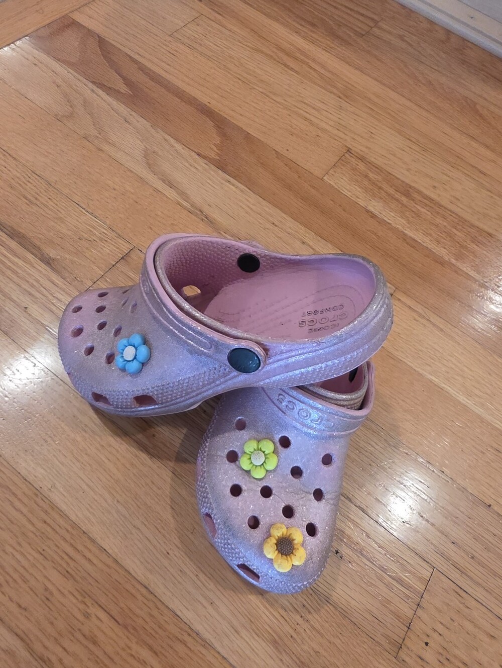 Crocs With Jibbits